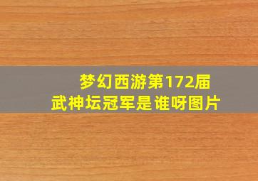 梦幻西游第172届武神坛冠军是谁呀图片