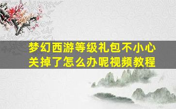 梦幻西游等级礼包不小心关掉了怎么办呢视频教程