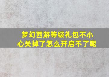 梦幻西游等级礼包不小心关掉了怎么开启不了呢