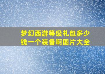 梦幻西游等级礼包多少钱一个装备啊图片大全