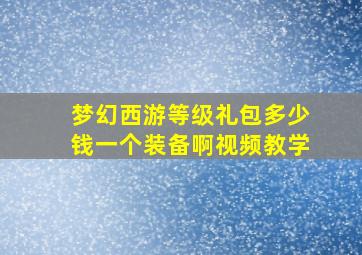 梦幻西游等级礼包多少钱一个装备啊视频教学