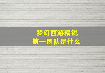 梦幻西游精锐第一团队是什么