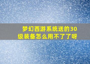 梦幻西游系统送的30级装备怎么用不了了呀