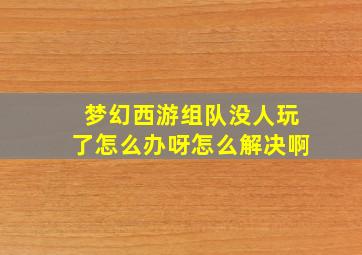 梦幻西游组队没人玩了怎么办呀怎么解决啊