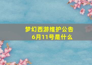 梦幻西游维护公告6月11号是什么