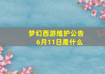 梦幻西游维护公告6月11日是什么