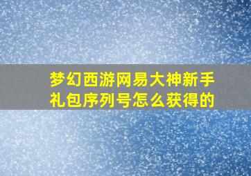 梦幻西游网易大神新手礼包序列号怎么获得的