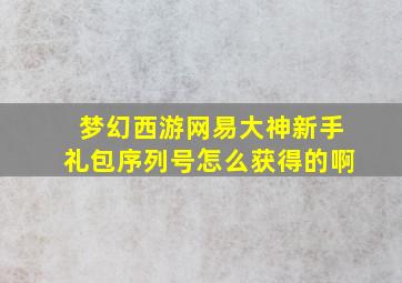 梦幻西游网易大神新手礼包序列号怎么获得的啊