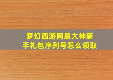 梦幻西游网易大神新手礼包序列号怎么领取