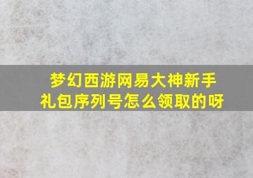 梦幻西游网易大神新手礼包序列号怎么领取的呀