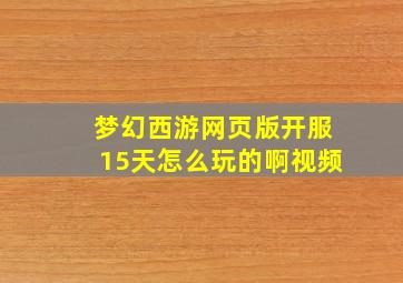 梦幻西游网页版开服15天怎么玩的啊视频