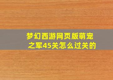 梦幻西游网页版萌宠之军45关怎么过关的