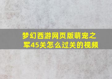 梦幻西游网页版萌宠之军45关怎么过关的视频