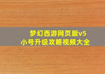 梦幻西游网页版v5小号升级攻略视频大全