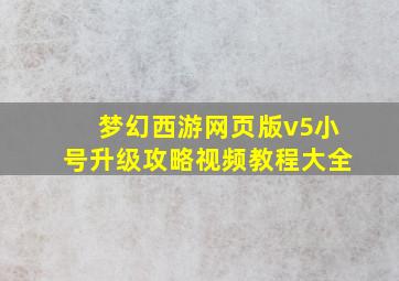 梦幻西游网页版v5小号升级攻略视频教程大全