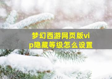 梦幻西游网页版vip隐藏等级怎么设置