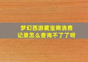 梦幻西游藏宝阁消费记录怎么查询不了了呀