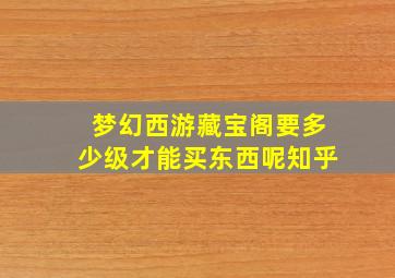 梦幻西游藏宝阁要多少级才能买东西呢知乎