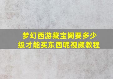 梦幻西游藏宝阁要多少级才能买东西呢视频教程