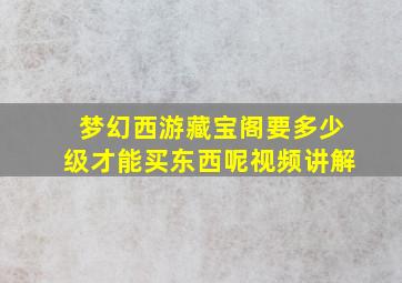 梦幻西游藏宝阁要多少级才能买东西呢视频讲解