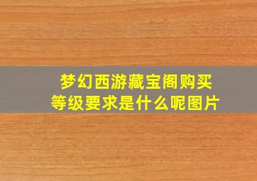 梦幻西游藏宝阁购买等级要求是什么呢图片