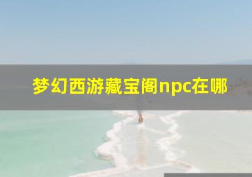 梦幻西游藏宝阁npc在哪