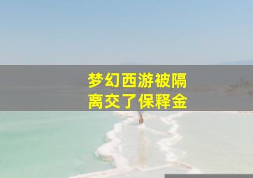 梦幻西游被隔离交了保释金