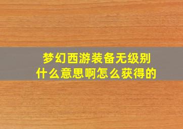 梦幻西游装备无级别什么意思啊怎么获得的