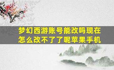 梦幻西游账号能改吗现在怎么改不了了呢苹果手机