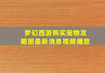 梦幻西游购买宠物攻略图最新消息视频播放