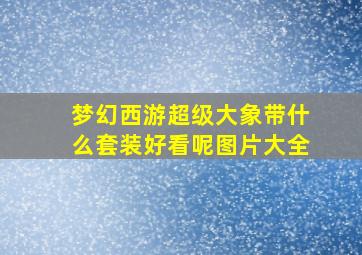 梦幻西游超级大象带什么套装好看呢图片大全