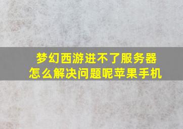 梦幻西游进不了服务器怎么解决问题呢苹果手机