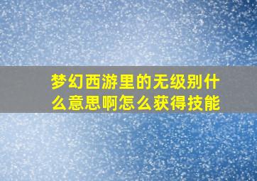 梦幻西游里的无级别什么意思啊怎么获得技能