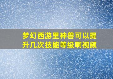 梦幻西游里神兽可以提升几次技能等级啊视频