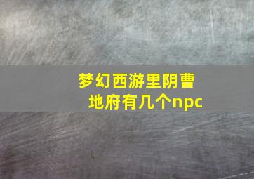 梦幻西游里阴曹地府有几个npc