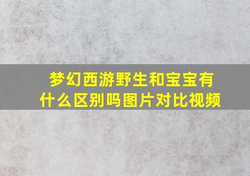 梦幻西游野生和宝宝有什么区别吗图片对比视频