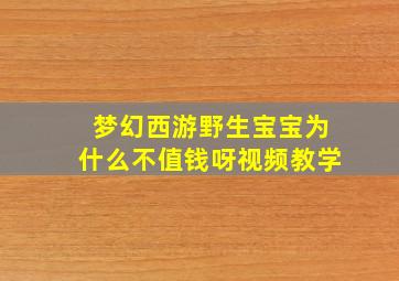 梦幻西游野生宝宝为什么不值钱呀视频教学