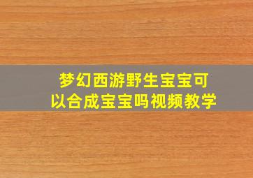 梦幻西游野生宝宝可以合成宝宝吗视频教学