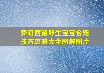 梦幻西游野生宝宝合宠技巧攻略大全图解图片