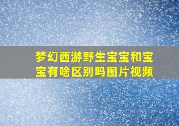 梦幻西游野生宝宝和宝宝有啥区别吗图片视频