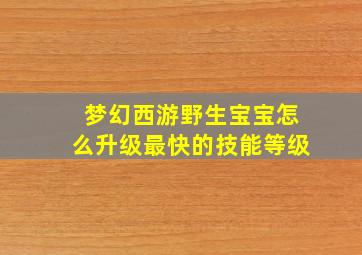 梦幻西游野生宝宝怎么升级最快的技能等级