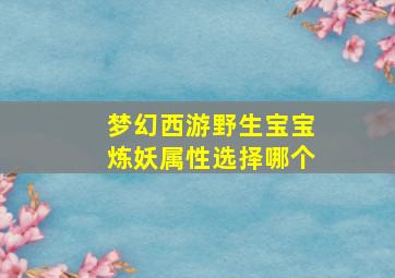 梦幻西游野生宝宝炼妖属性选择哪个