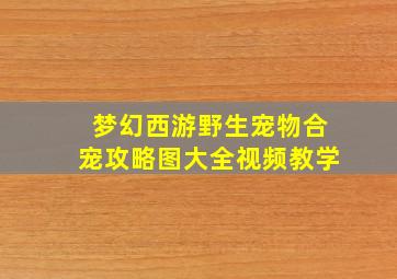 梦幻西游野生宠物合宠攻略图大全视频教学