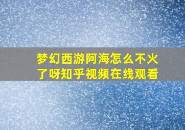 梦幻西游阿海怎么不火了呀知乎视频在线观看