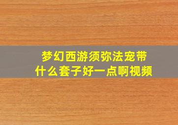 梦幻西游须弥法宠带什么套子好一点啊视频