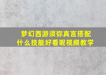 梦幻西游须弥真言搭配什么技能好看呢视频教学