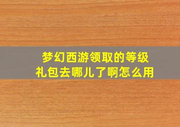 梦幻西游领取的等级礼包去哪儿了啊怎么用