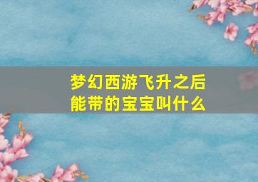 梦幻西游飞升之后能带的宝宝叫什么