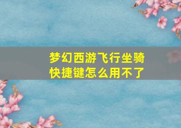 梦幻西游飞行坐骑快捷键怎么用不了