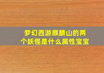 梦幻西游麒麟山的两个妖怪是什么属性宝宝